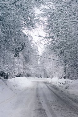 Kış yolu ve karla kaplı, her iki tarafta da ağaçların beyaz dalları, iklim ve soğuk mevsimler gizli. Dikey.