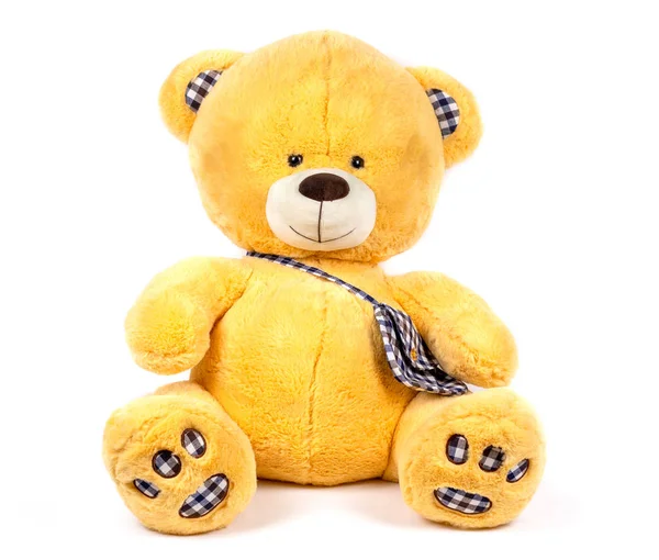 Mjuk leksak vit bakgrund isolerad brun björn — Stockfoto