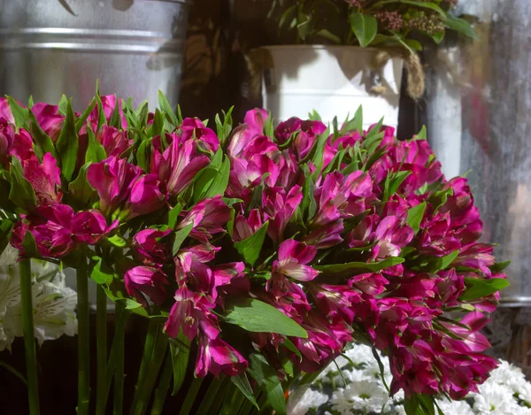 Roze alsteremie bloemen van roze kleur op een decoratieve achtergrond in een vaas — Stockfoto
