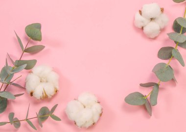 Pembe arka planda okaliptüs ve pamuk topları