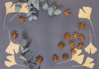 Okaliptüs yaprakları ve yıldız anason yıldızı mesajınız için gri bir arkaplanda uzanır.