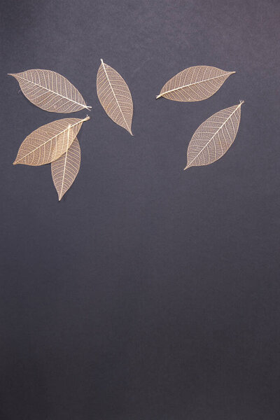 tree leaves on a gray background