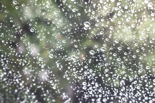 Vista albero attraverso finestrino auto con gocce di pioggia . — Foto Stock