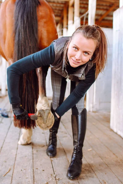 Young beautiful woman cleans the horse's hooves with a special brush before riding. Horseback riding, animal care, veterinary concept