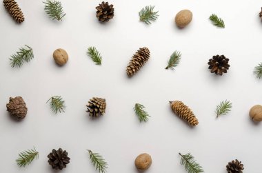 Beyaz arka planda kozalaklar. Tatil doğal dekorasyon, desen