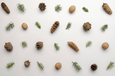 Beyaz arka planda kozalaklar. Tatil doğal dekorasyon, desen