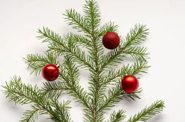 Різдвяна ялинка гілка на білому тлі з червоними кульками — стокове фото