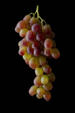 Siyah zemin üzerinde kırmızı üzümler ve su damlaları