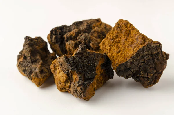 Chaga mushroom Inonotus obliquus на белом фоне — стоковое фото