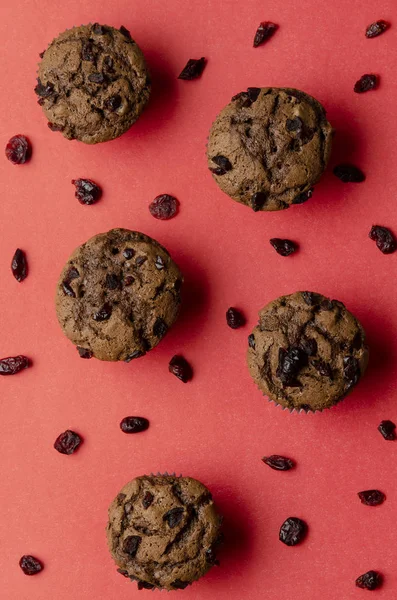 Muffins de cranberry caseiros no fundo da cor — Fotografia de Stock