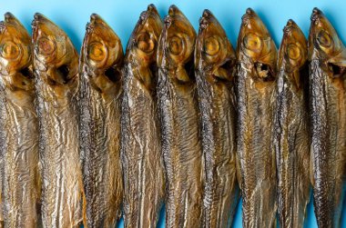 Balık deseni. Mavi denizde ringa balığı