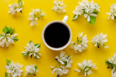 Renkli arka planda beyaz bir fincan kahve, beyaz bahar çiçekleri