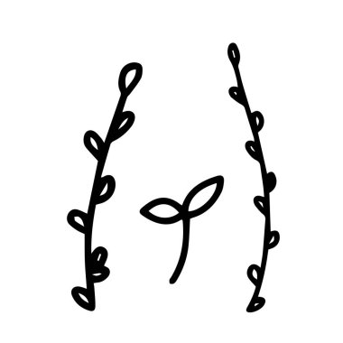 Beyaz arka planda izole edilmiş doğal bitki ve söğüt dalları. Vektör karalama çizimi çizimi çizimi.