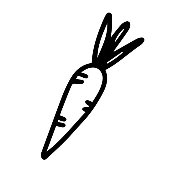 Petite carotte en dessin animé style dessiné à la main isolé sur fond blanc. contour de dessin animé vectoriel — Image vectorielle