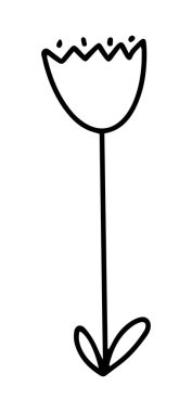 Sevimli çiçek lalesi. Beyaz arkaplanda izole edilmiş vektör karalama çizgisi çizimi. Türler için tasarım