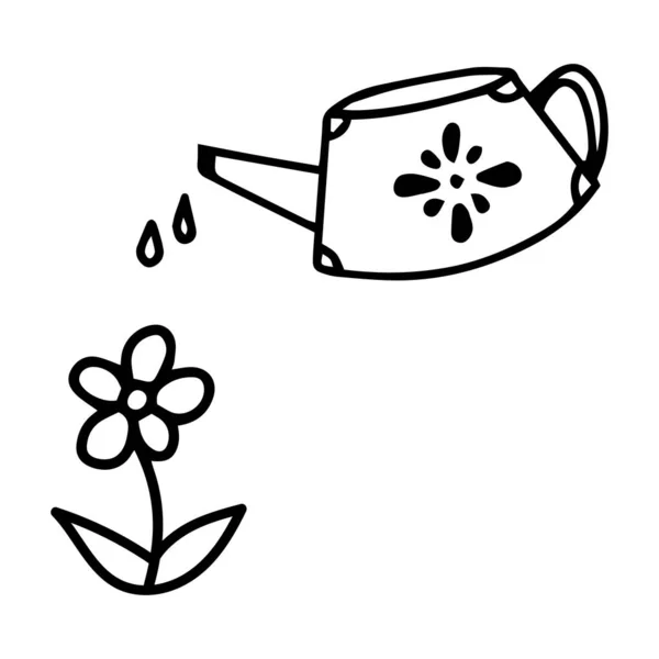 Çiçeği sulama kabından suyla sulamak. Çiçekli bahar çuha çiçeği. Vektör karalama çizgisi — Stok Vektör