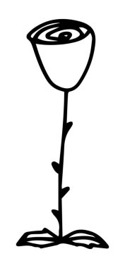 Şirin çiçek gülü. Beyaz arkaplanda izole edilmiş vektör karalama çizgisi çizimi. Türler için tasarım