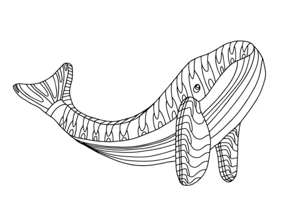 Walvis in de hand getekend doodle stijl geïsoleerd op witte achtergrond. Kleurboek voor volwassenen en kinderen. Vector stock outline illustratie. Zeedieren. — Stockvector