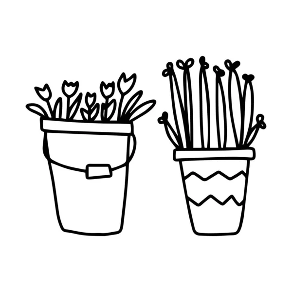 Balde Flores Pote Plantas Desenhadas Mão Estilo Doodle Isolado Fundo —  Vetores de Stock