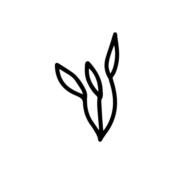 Assine folhas de galho de ervas. Rígido floral. Flor de primavera, botões isolados no fundo branco. Desenho do doodle ilustração vetorial — Vetor de Stock