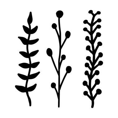 Bitki dalı yapraklarını imzala. Çiçek filizi. Bahar çiçeği, beyaz arka planda izole düğmeler. Çizim ana hatları vektör illüstrasyonu