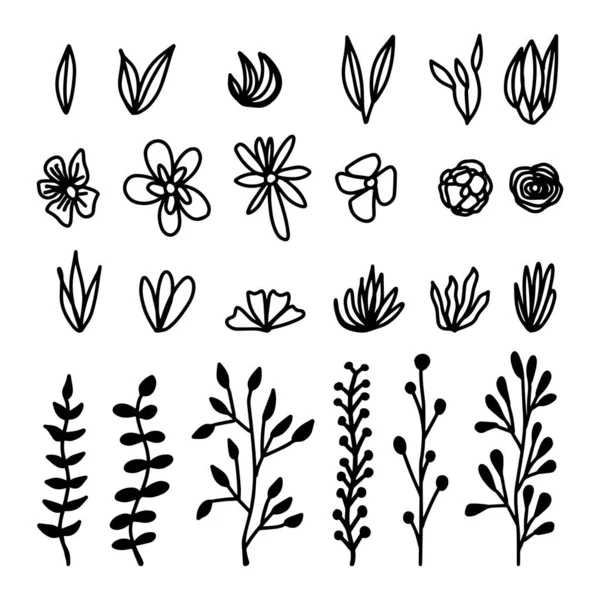 Definir mão desenhada de ervas galhos. Rígido floral. Folhas de primavera, flores, botões isolados no fundo branco. Desenho do doodle ilustração vetorial — Vetor de Stock