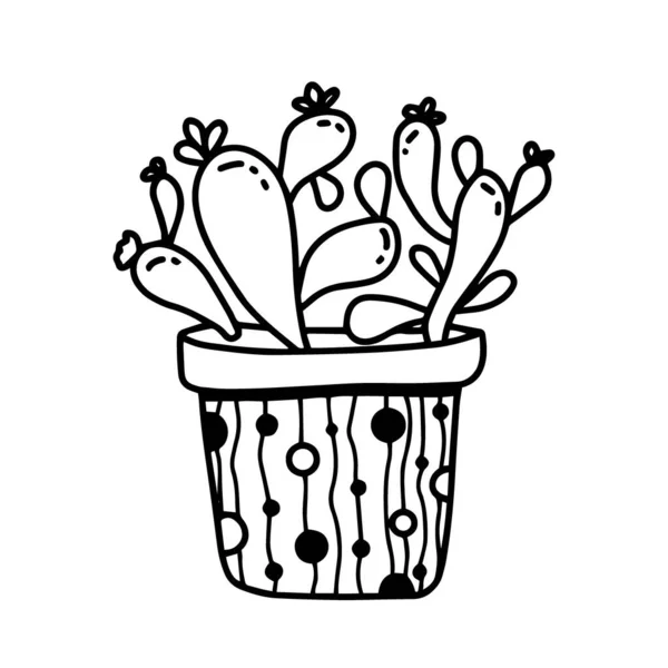 Plante maison dessinée à la main succulente en pot dans le style de dessin animé doodle isolé sur fond blanc. Aperçu vectoriel collection de plantes en pot — Image vectorielle