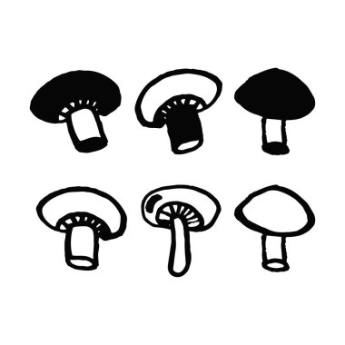 Şampiyon mantarlarını karalama tarzında beyaz arkaplanda izole et. Vektör el çizimi ve siluet basit illüstrasyon.