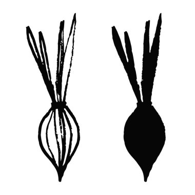Beyaz arkaplanda karalama tarzında soğan ayır. Vektör el çizimi ve siluet basit bir çizim. Eko ürün. Eğil sebze