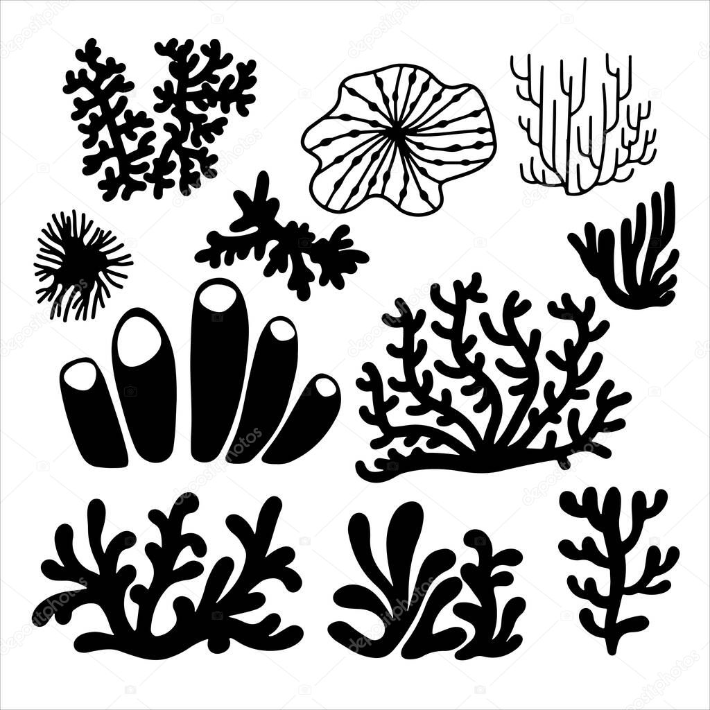 Vector set illustration of black sea corals and seaweed isolated on white background. Set of underwater species, marine creatures, sea or ocean flora and fauna. Best for logo, card, tattoo