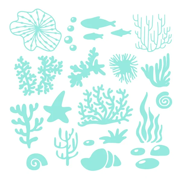 Conjunto Vetorial Ilustração Coral Marinho Colorido Peixes Estrelas Mar Concha — Vetor de Stock