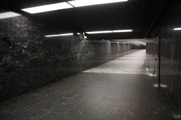 Moskova Büyükşehir Hattı, Luyblinskaya Hattı, Zyablikovo İstasyonu, 2011 yılında açıldı.