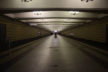 Moskova Büyükşehir Hattı, Luyblinskaya Hattı, Maryino İstasyonu, 1996, 02.2020