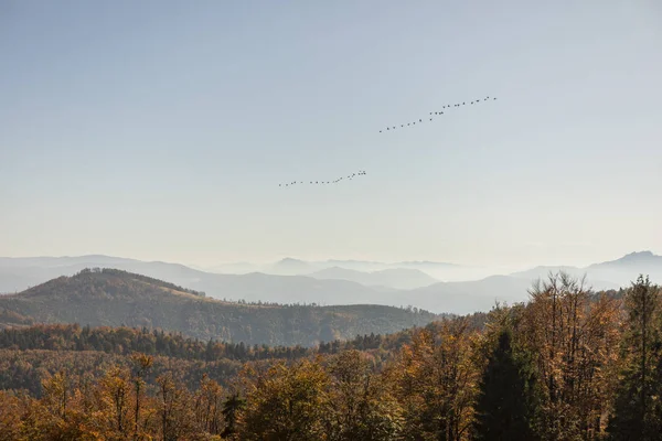 Zonnige dag in het berglandschap. Herfstlandschap — Stockfoto