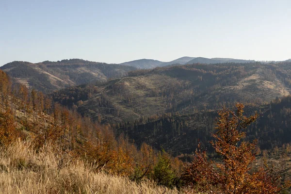 Dağlarda güneşli bir gün. Sonbahar manzarası