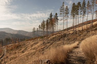 Dağlarda güneşli bir gün. Sonbahar manzarası