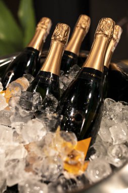 Soğutucuda bir şişe şampanya. Ön planda buz dolu şişeler. Seçici odak.