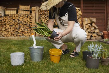Genç bayan bahçıvan, bahçeye yeni fidanlar ekiyor. Onun kafasında bir hasır şapka var. Bahar manzarası. Ev yapımı bitkiler naklediliyor