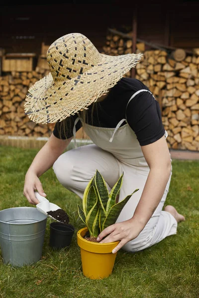 Jovem jardineiro feminino em dungarees brilhantes replantar mudas no jardim. cenário de primavera. transplante de plantas caseiras — Fotografia de Stock