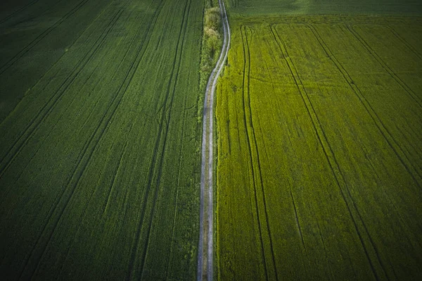 Yeşil çayırlar arasındaki toprak bir yolun insansız hava aracı fotoğrafı. Polonya 'daki çiftlik havadan, insansız hava aracı fotoğraflarından, hava görüntülerinden fotoğraflandı