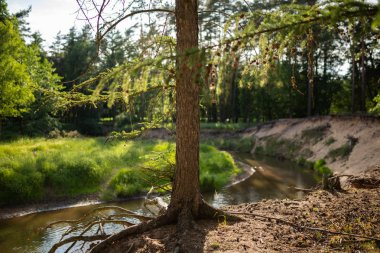 Nehrin yüksek kumlu yamaçlı kıvrımları.