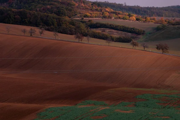 Beautiful Brown Czech Moravian Fields Autumn — Stock Photo, Image