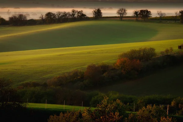 Beaux Champs Verts Moravie Tchèque Lever Soleil — Photo