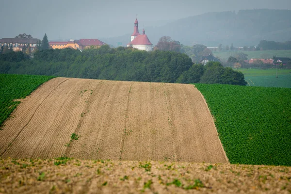 Undulating fields with a church in the background