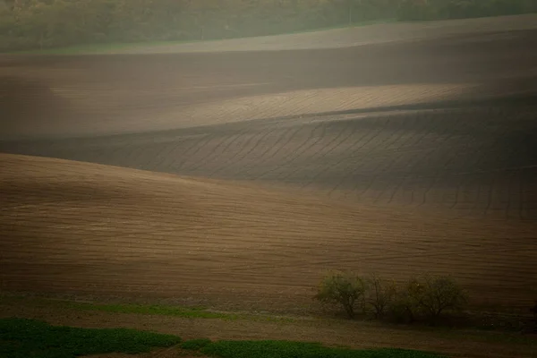 Hermosos Campos Moravia Checa Marrón Otoño — Foto de Stock