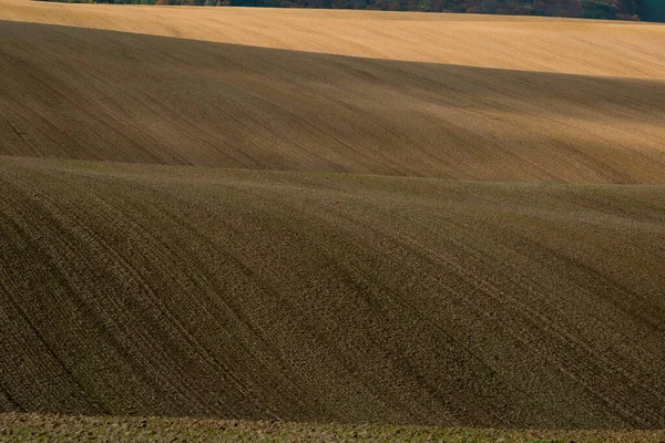 Piękny Surowy Krajobraz Zaoranych Pól Morawskich Sezonie Jesiennym — Zdjęcie stockowe