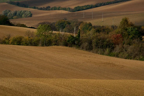 Moravian Landscapes Wavy Fields Wealth Colors — Stock Photo, Image