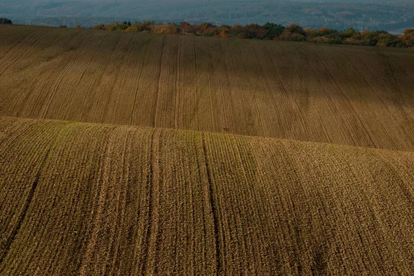 Моравські Ландшафти Хвилястих Полів Великою Кількістю Кольорів — стокове фото