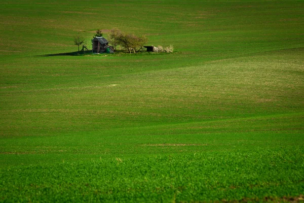 Isola Solitaria Con Vecchio Capanno Degli Attrezzi Lavorare Nel Campo — Foto Stock