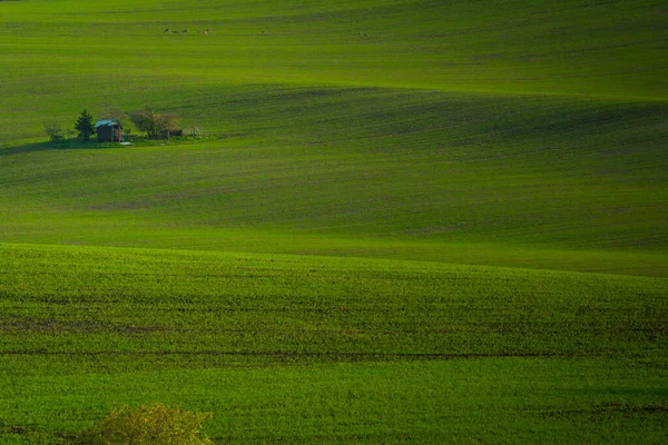 Eine Einsame Insel Mit Einem Alten Geräteschuppen Für Die Feldarbeit — Stockfoto